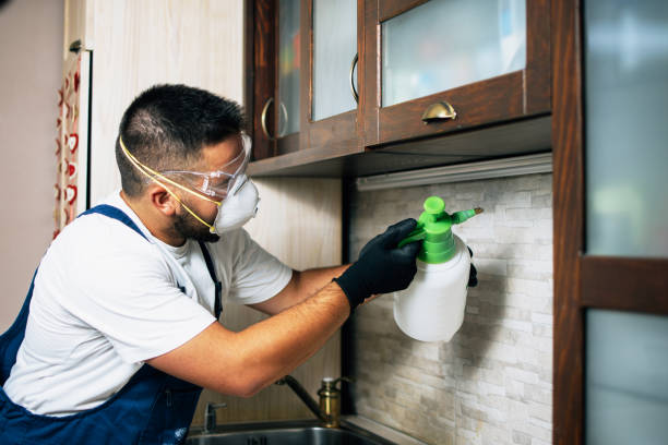 Best Pest Inspection Near Me  in Aberdeen, NC