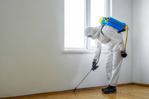 Best Bed Bug Extermination  in Aberdeen, NC