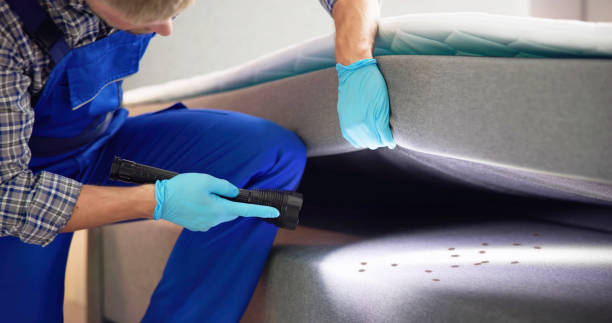 Wasp Removal Services in Aberdeen, NC