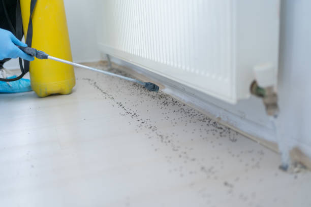 Best Mosquito Control Services  in Aberdeen, NC
