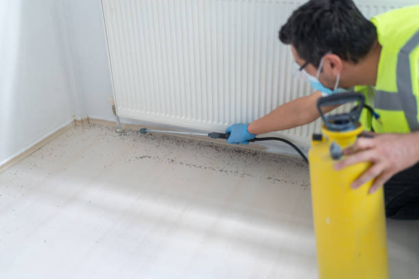 Best Flea Control Services  in Aberdeen, NC