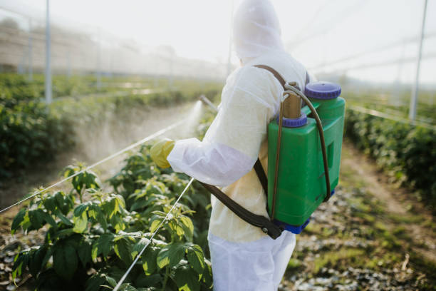 Best Ant Control Services  in Aberdeen, NC